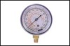 Pressure Gauge(low pressure)