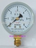 Pressure Gauges.YO-60 0-6Mpa