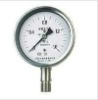 Pressure Gauges YTH-100