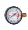 Pressyre gauge