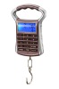 Price computing digital scale with 30kg/20g 15kg/10g