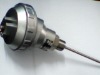 Pt100 RTD Sensors SS316 Probe