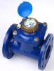 REMOVABLE HORIZONTAL DRY TYPE WOLTMAN METER