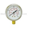 Regulator Gauge