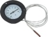 Remote reading pressure thermometer