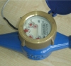 Remote water meter (wet water meter)