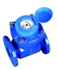 Removable element woltman water meter