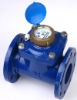 Removable elements woltman water meter