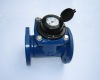 Removable remote water meter