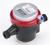 Rotary vane water meter