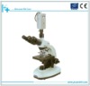 SDL-D0110 Biological Microscope