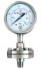 SOILD FRONT PROCESS GAUGE