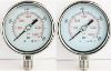 SS Pressure Gauge