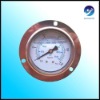 SS304 Flanged Back Connection Aseismic Pressure Gauge