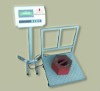 SS5090 Industrial Platform Scale