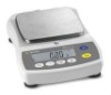 Sartorius Paint Scales