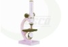 School Microscope