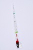Seawater densimeter with thermometers