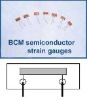 Semiconductor Strain Gauges