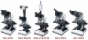 Series Biological Microscope