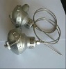 Sheathed Pt100 Thermocouple