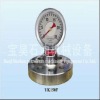 Shock-resistant Pressure Gauge for drilling mud pump pressure gauge