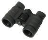 Simple Galilean Binoculars