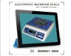 Simple Weighing scale with LCD display