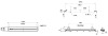 Slide potentiometer/Carbon potentiometer/potentiometer