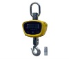 Small capacity digital crane scale