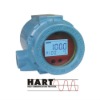 Smart &HART temperature converter TMT199 with field mounted with optional display