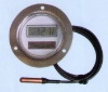 Solar Remote Thermometer