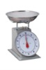 Spring balance scale 20KG