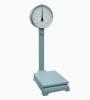 Spring scale