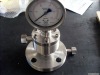 Stainless Steel Flange Connection Diaphragm Pressure Gauge