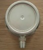 Stainless Steel Pressure Gauge