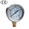 Stainless Steel Pressure Gauge