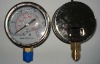 Stainless Steel Pressure Gauge Manometro