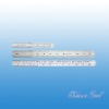 Stainless Steel Ruler CH-MT040