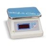 Stainless steel electronic weighing scale