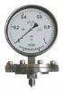 Stainless steel gauge with diaphragm