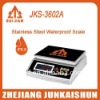 Stainless steel weighing scale