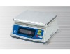 Stainless waterproof scale