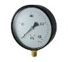 Standard gauge,steel case