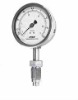 Standard pressure gauge