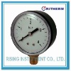 Standard pressure gauge,ABS case