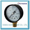 Standard pressure gauge,ABS case