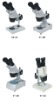 Stereo Microscope