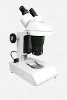 Stereo Microscope