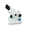 Stereo Microscope